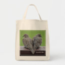 Recherche de colombe de deuil Birding