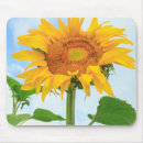 Suche nach moses mousepads Sonnenblume