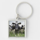 Suche nach herde accessoires Bauernhof