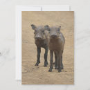 Recherche de province vœux cartes Animaux sauvages