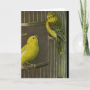 Suche nach käfig karten Vogel