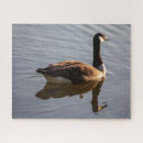 Suche nach gans puzzle See