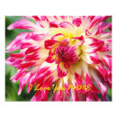 Recherche de floral coloré posters Printemps