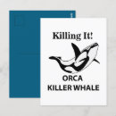 Recherche de orque cartes postales Dauphin
