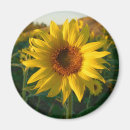 Recherche de fourre tout magnets Fleur