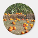 Suche nach hayes magnete Herbst