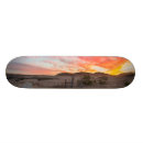 Recherche de scènes skateboards Ciel