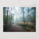 Recherche de uk cartes postales Nature