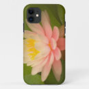 Suche nach nymphaeaceae Rosa