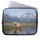 Recherche de steve coques Alaska