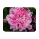 Recherche de enfants vintages magnets Pour elle