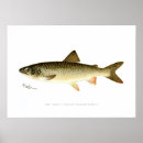 Suche nach angeln poster Aquarell
