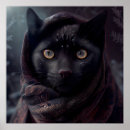 Recherche de black cat posters Cats
