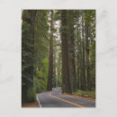 Suche nach strasse postkarten Usa
