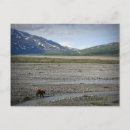 Recherche de parc national denali cartes postales Alaska