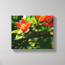 Suche nach landwirtschaft leinwandbilder Fotografie