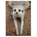 Suche nach kamera klemmbrett Betrachten der kamera