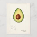 Recherche de avocat cartes postales Fruit