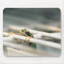 Recherche de grenouille verte tapis souris Humour