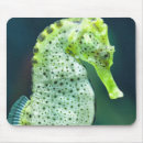 Recherche de l espagne tapis souris Madrid