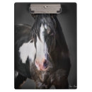 Recherche de cheval porte blocs Portraits