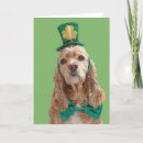 Suche nach cocker spaniel karten Hund