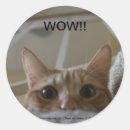 Recherche de wow autocollants École