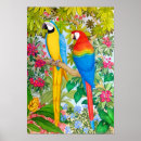 Recherche de maccaw posters Forêt tropicale