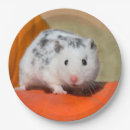 Suche nach hamster teller Tier