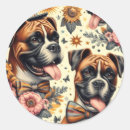 Recherche de chien boxer autocollants Animal de compagnie