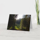Suche nach sequoia karten Natur