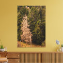 Suche nach alter baum leinwandbilder Blätter