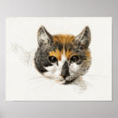 Recherche de vintage de chat art Félin