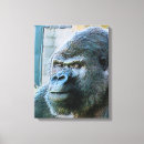 Suche nach gorilla leinwandbilder Tier