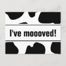 Recherche de taches vache invitations Animal