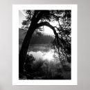 Recherche de frégate posters Nature