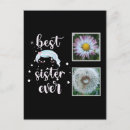 Suche nach kleine schwester postkarten Liebe