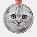 Suche nach scottish ornamente Schottenfalte