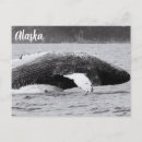 Recherche de barrière cartes postales Pour tous