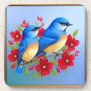Suche nach bunte vögel untersetzer Illustration