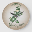 Suche nach vintage kräuter poster Aquarell