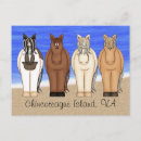 Suche nach chincoteague pony postkarten Insel