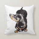 Recherche de teckels coussins Weiner