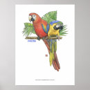 Suche nach macaws poster Blau