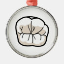 Recherche de dents ornements Dentaire