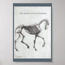 Recherche de anatomie cheval posters Pour tous