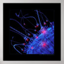 Recherche de sperme posters Biologie