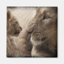 Recherche de lion de bébé magnets Faune