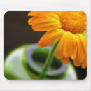 Suche nach vase mousepads Natur