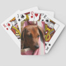 Recherche de teckel jeux de cartes Chiot